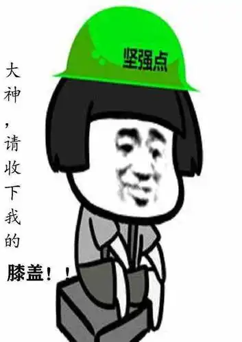 大神,请收下我的膝盖