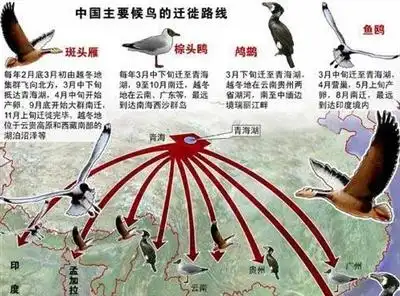 冀教版第七课《燕子南飞》