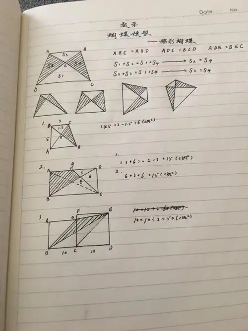 《蝴蝶模型》笔记