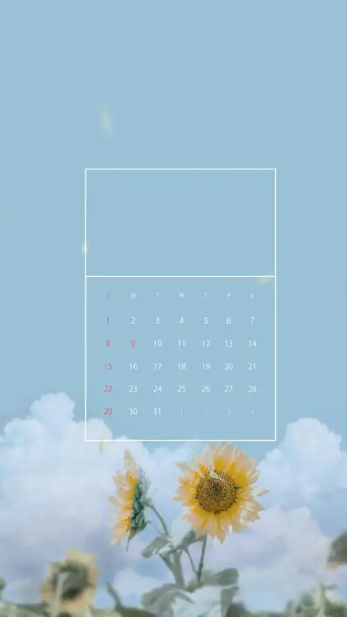 分享八月的日历壁纸