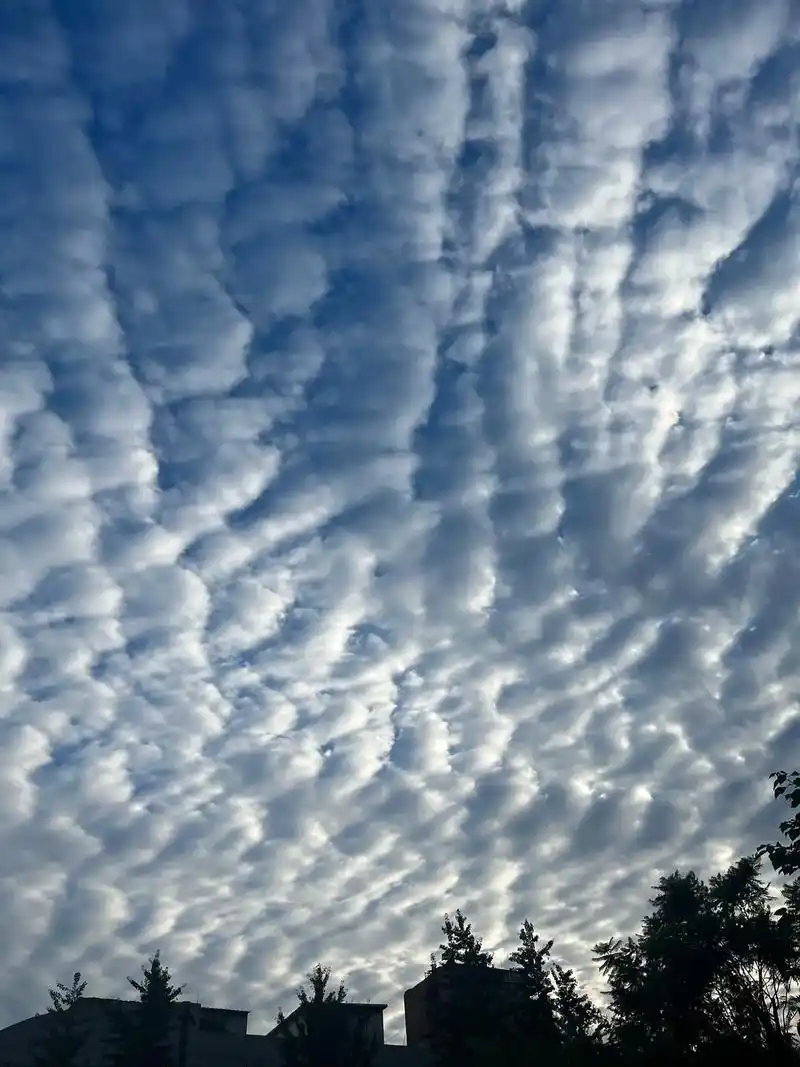 鱼鳞云 不懂就问,这个是地震云吗#随手拍天空 #地震云是什 - 抖音