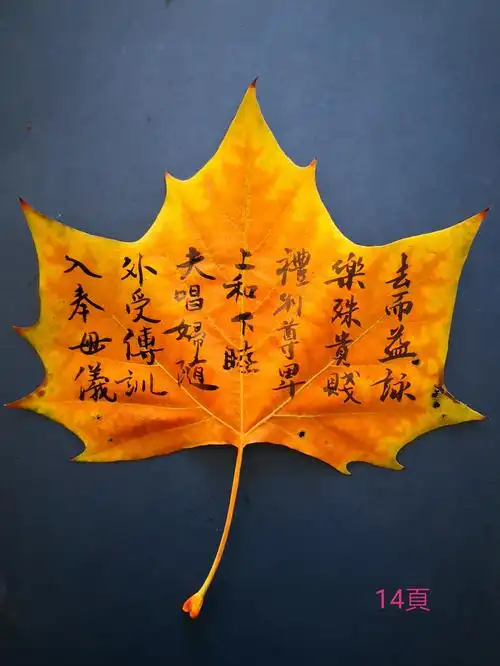 树叶《千字文》