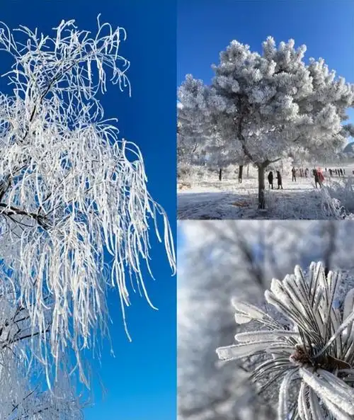 冬天最美风景图片大全唯美,只有冬天才能看到的4大唯美冰雪奇观,在