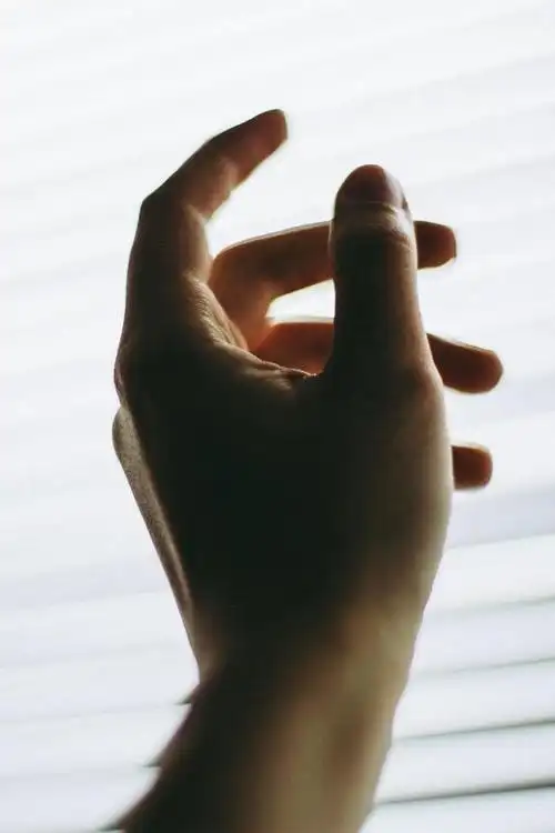 「图片素材」70幅关于手部形象的唯美图片