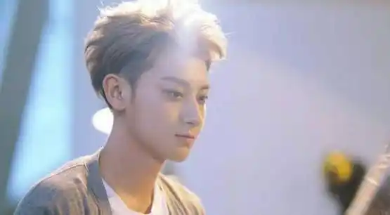 最终说起的便是黄子韬了,原先的exo组员,现如今返回中国也是有很多年