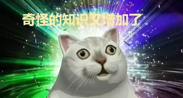 b站最近很火的猫咪表情包是什么梗