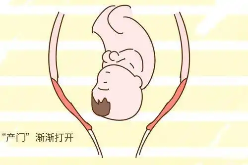 产妇宫口开全一般要多久?