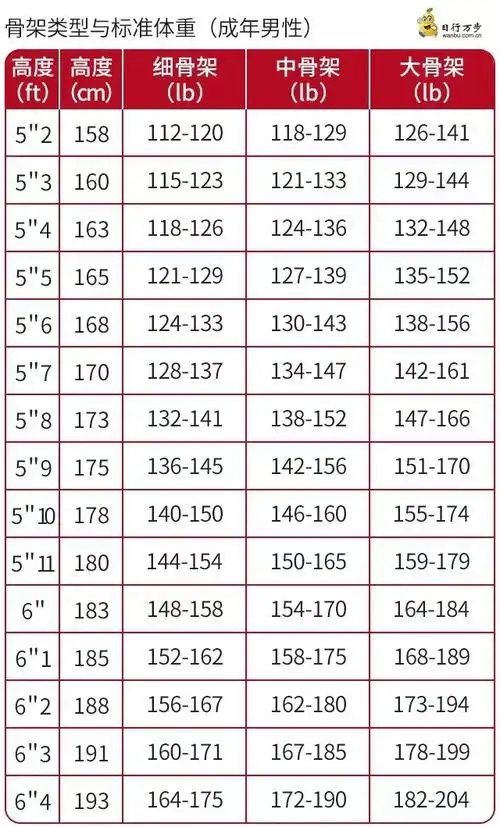 bmi可不是唯一指标!