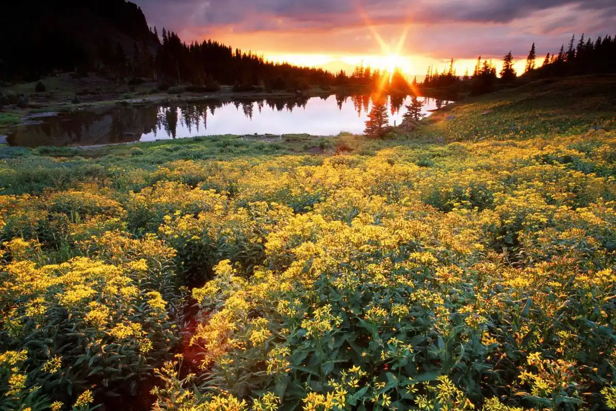 精美风景桌面壁纸_风景_太平洋电脑网