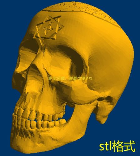 人头盖骨骷髅头三维立体模型圆雕图纸stl格式木雕刻机3d打印素材
