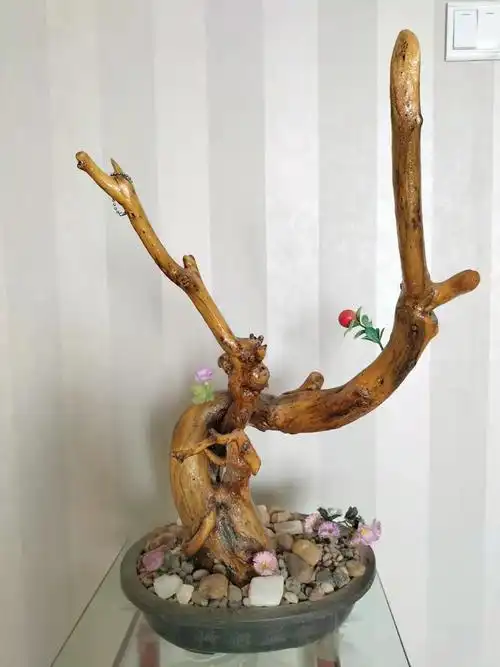 爱上树根爱上根雕 (1).jpg