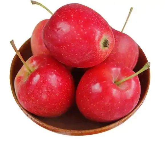 鸡心果是什么水果