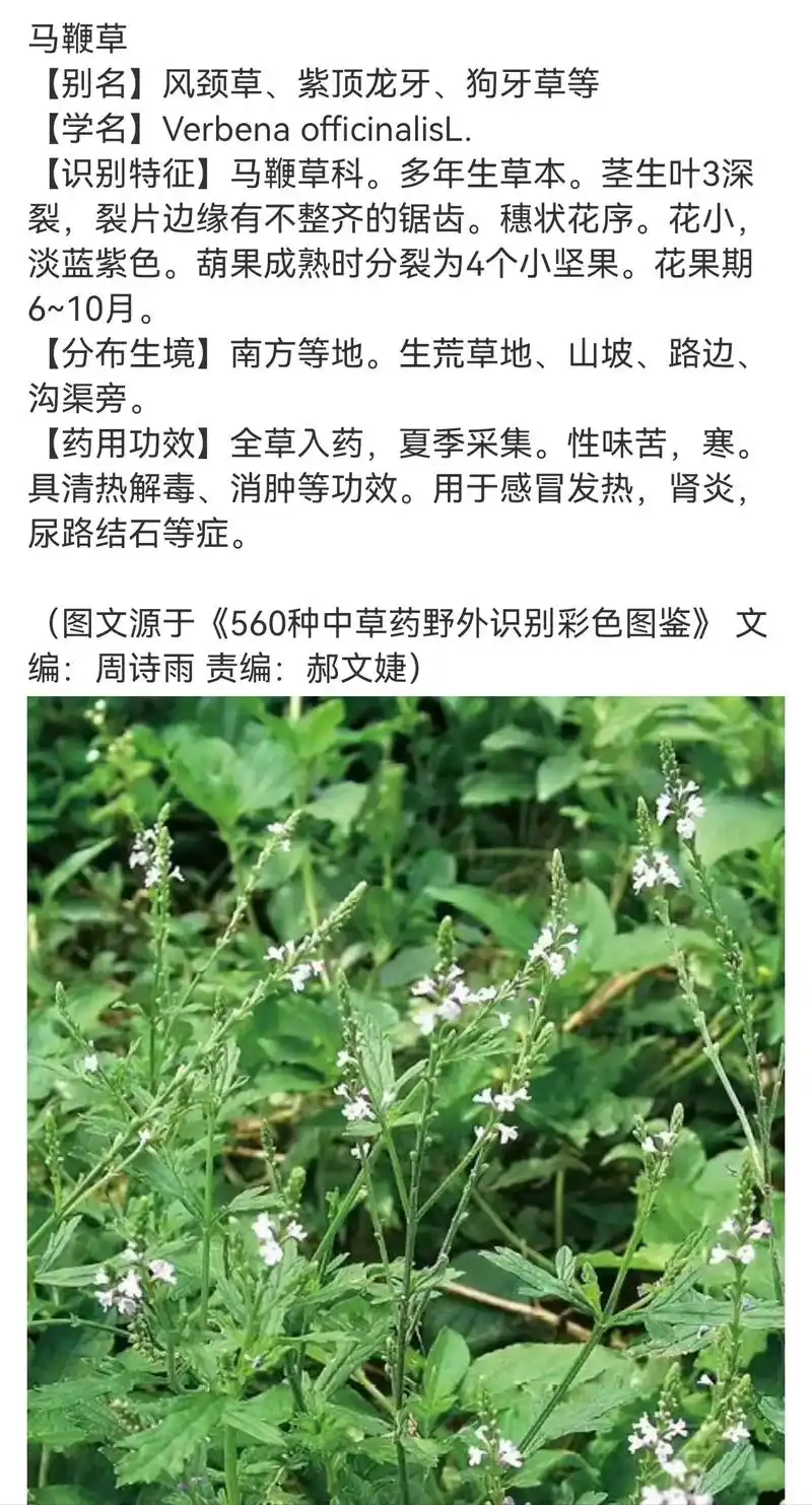 乐观和爱才是生活的解药,让我们迎着阳光,温暖前行. - 抖音