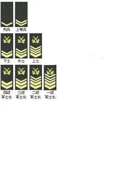 武警部队作训服统一换领章