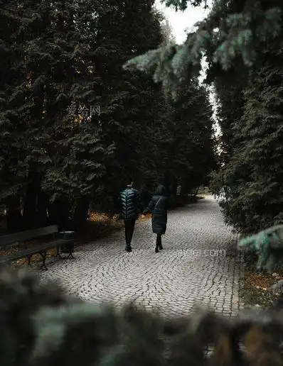 白天两个人在树间的砖砌路面上散步(two person walking on brick