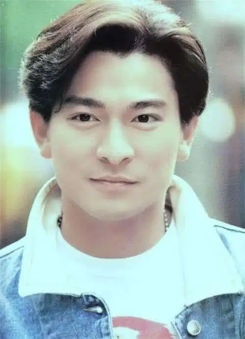 刘德华年轻最帅图片,刘德华图片最帅的图片-图片大观-奇异网