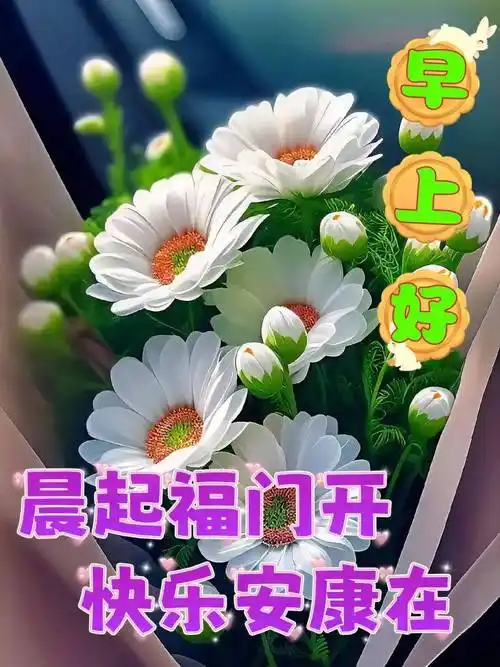 2024年4月8日最新早上好祝福语图片大全 今日精选早安问候祝福图片带