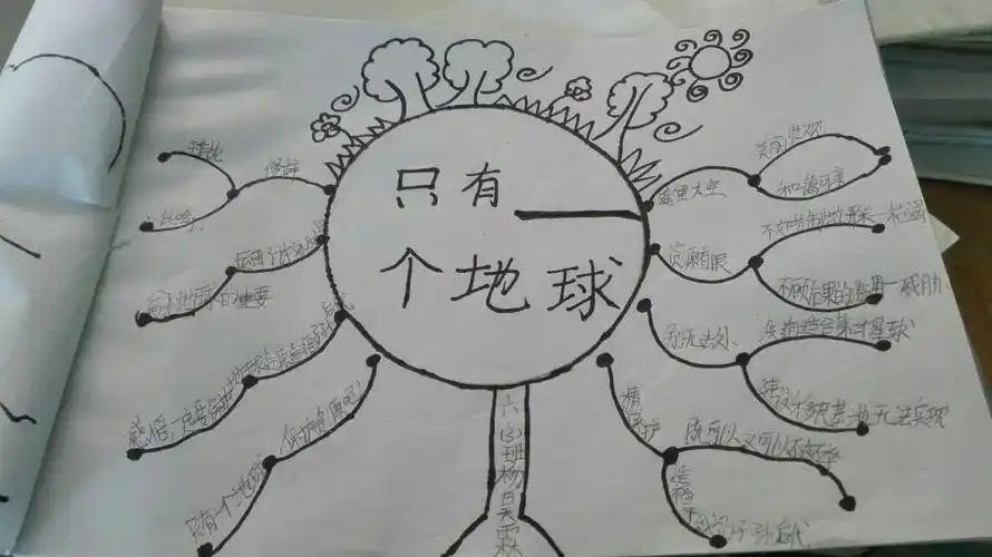 镇完小六三思维导图社团——只有一个地球