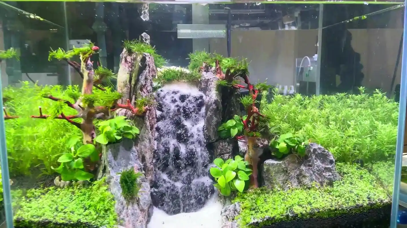 睡前放松时光必备之水草缸流沙瀑布造景欣赏
