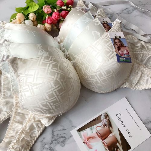 包邮 桑蚕丝女文胸 纯真丝双面女海绵内衣花色纯色 大罩杯