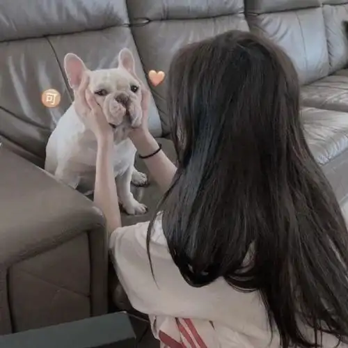 女生不露脸背影头像