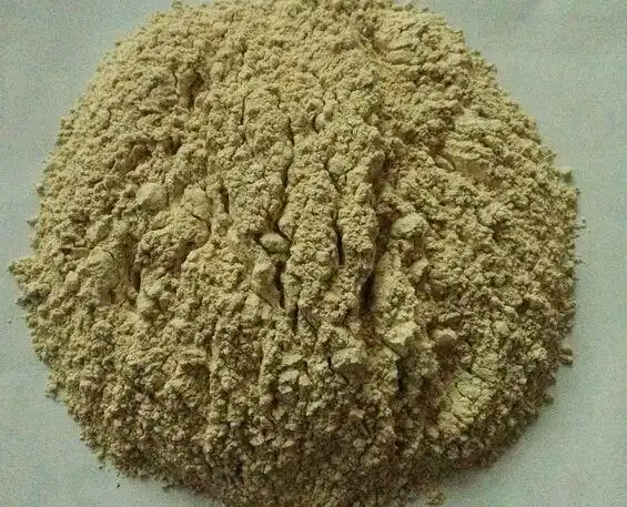 浇注料出现粉化的原因有哪些