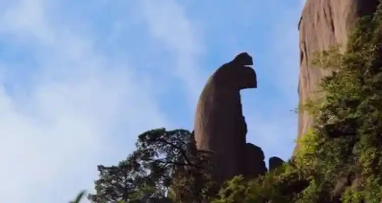 狮子抢球好像什么补充完整仿写