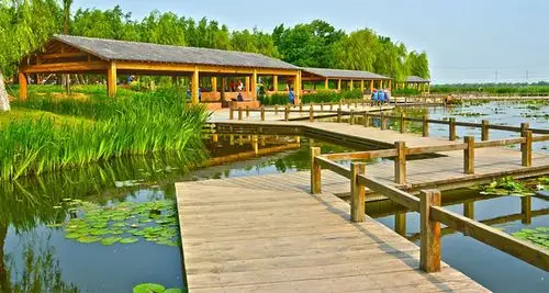 莲花湖国家湿地公园-木材买卖-真木网