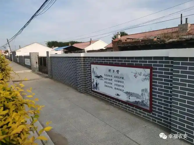 长春市农安县巴吉垒镇:人居环境整治再发力 乡村颜值再提升