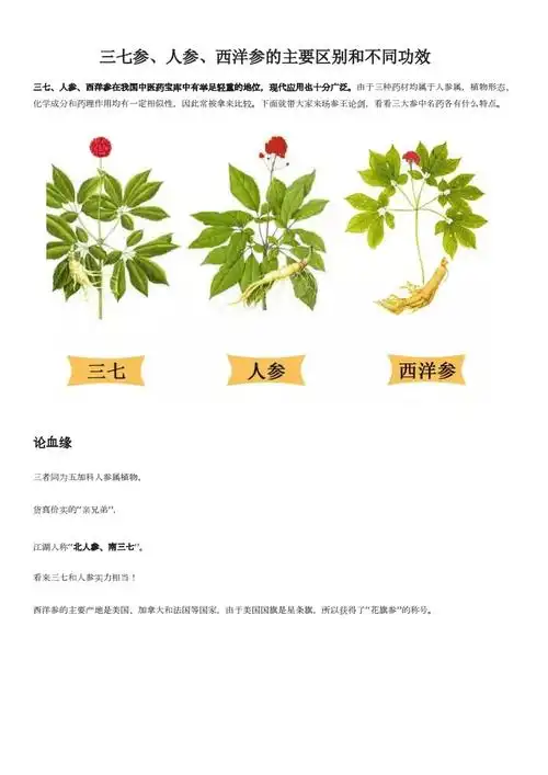 人参,百药之长,西洋参,党参,你知道吗?_功效与作用