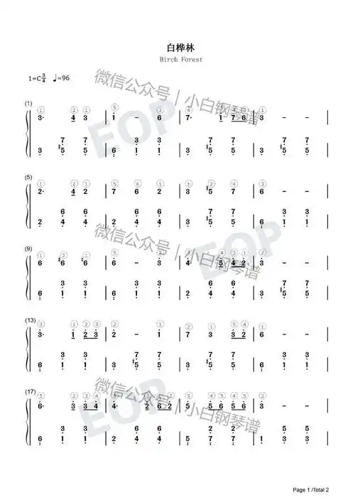 「琴谱|白桦林」 -一个凄美爱情故事- 朴树(含简谱)