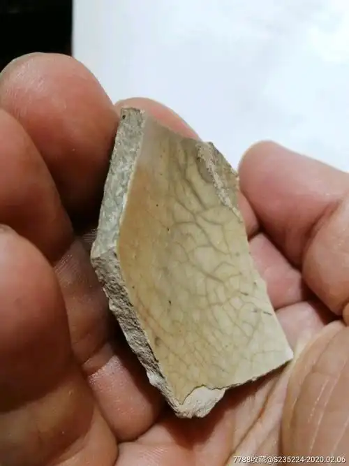 元哥窑米黄釉珍贵残片-瓷片-7788收藏