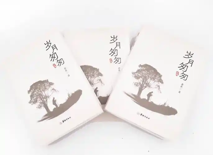 《岁月匆匆》——那个特殊时代的烙印