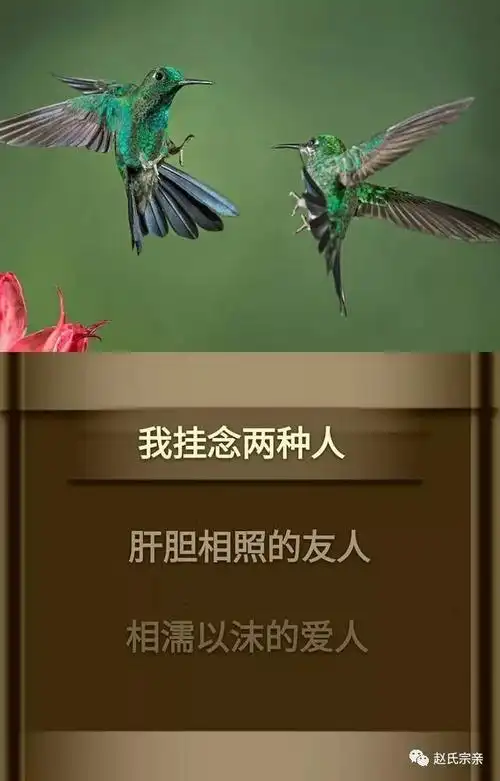 这一生,我绝交2种人,鄙视2种人,谢绝2种人,远离2种人!