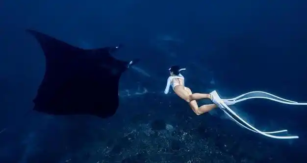 女星刘芊含穿紧身健身服运动展现优美身姿简直让人羡慕和嫉妒