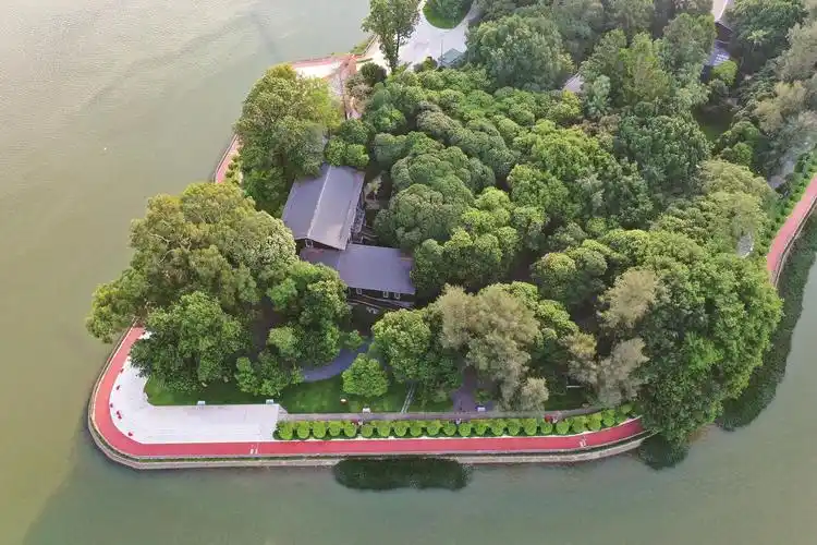 @福建人,​春光正好,植树去!_福建要闻_福建_新闻中心_台海网