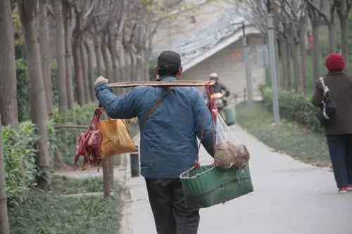 老汉挑担子沿街叫卖山鸡刺猬,路人被吓得躲着走