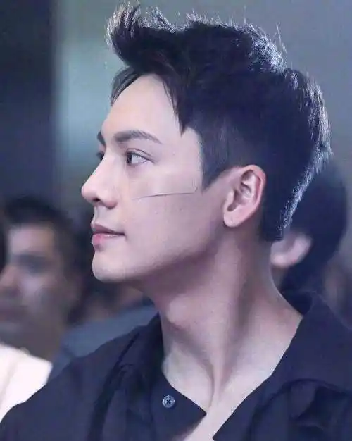 盘点娱乐圈中的拥有侧脸杀男明星