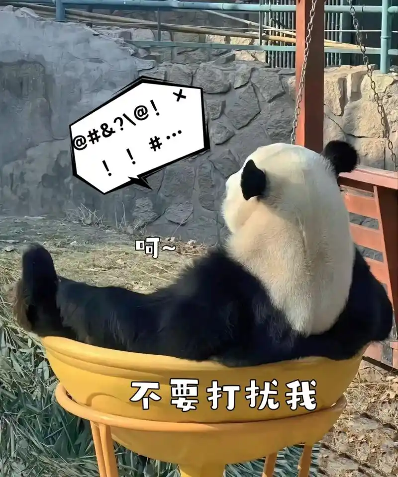 谁让偶宣你[没眼看][坏笑][哟][比心]