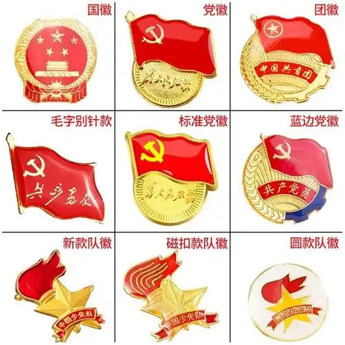党徽标准型磁铁式别针式少先队队徽徽章小学生团徽团员证党章共青团