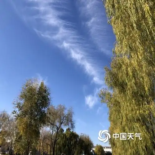 北京天空湛蓝 出现大片"毛卷云"