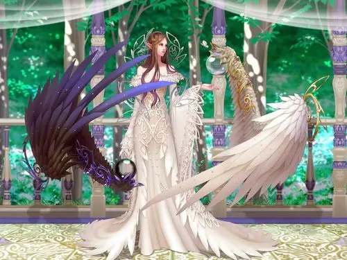 翅膀图像,壁纸女孩,打扮尺量图,精灵背景,幻想电脑桌布