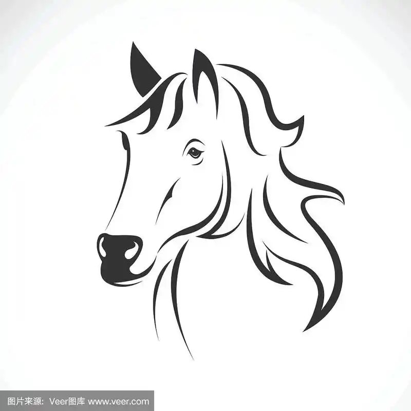 矢量马头设计在一个白色的背景.野生动物.