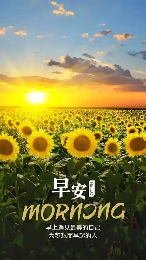 2021正能量周末早上好语录说说配图 周日发的早安心语正能量走心语录