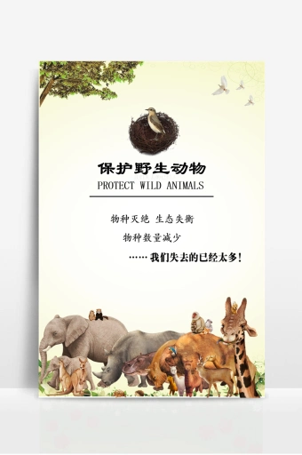 保护野生动物关爱动物宣传海报