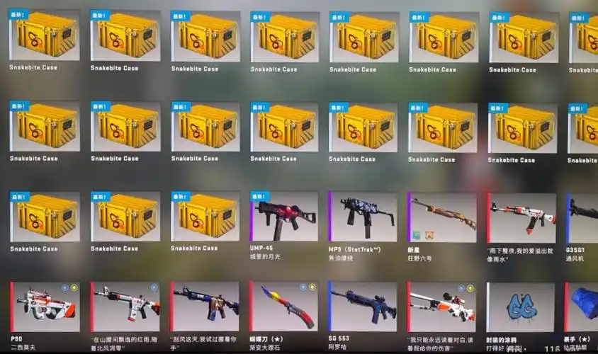 csgo老哥送了一个箱子朋友直接开出绿宝石能卖1万多块