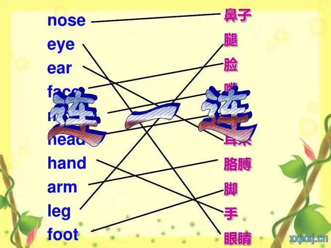 nose eye ear face mouth head hand arm leg foot 鼻子 腿 脸 嘴 头