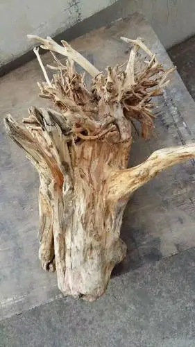 (13—5).发现的根雕专辑