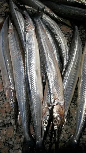 新鲜马步鱼38元/500克