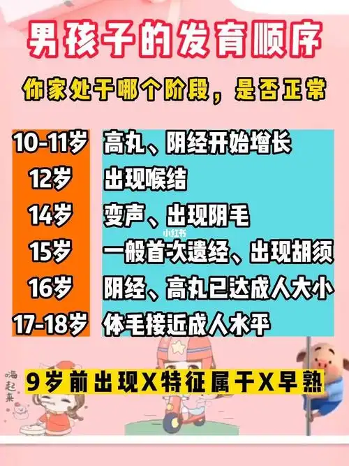 男孩的发育顺序来看看你家孩子发育正常吗